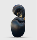 Guantoni da boxe pelle 2025-10-20