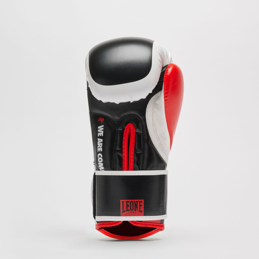 Guanti mma DNA tg M