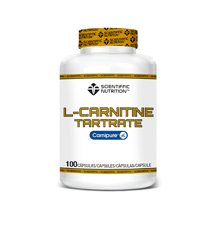 L-carnitine 100 cps