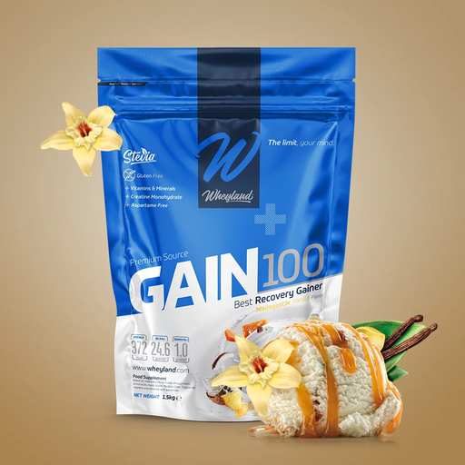 [gainer, wheyland] Gain 100 1500g biscotto