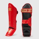 Paratibia  DNA tg L rosso